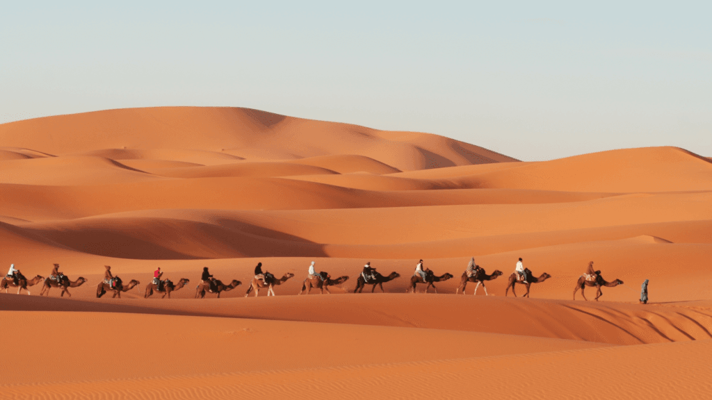 5 Unforgettable Experiences to Have on Your Morocco Tour